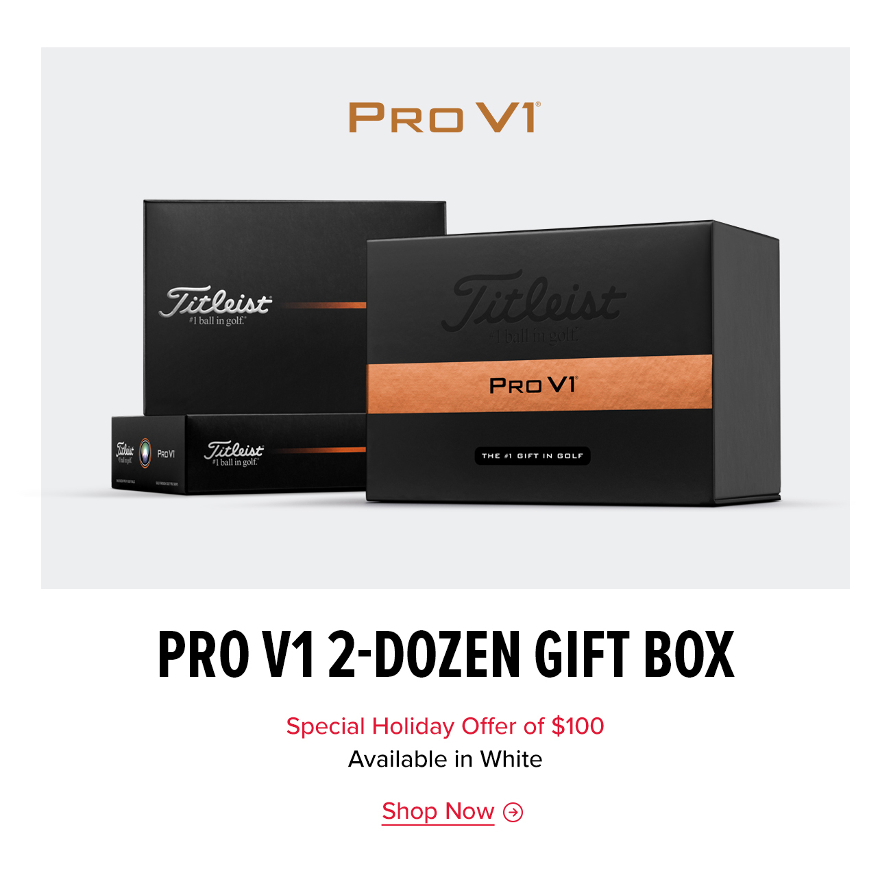 Shop Pro V1 2-Dozen Pack