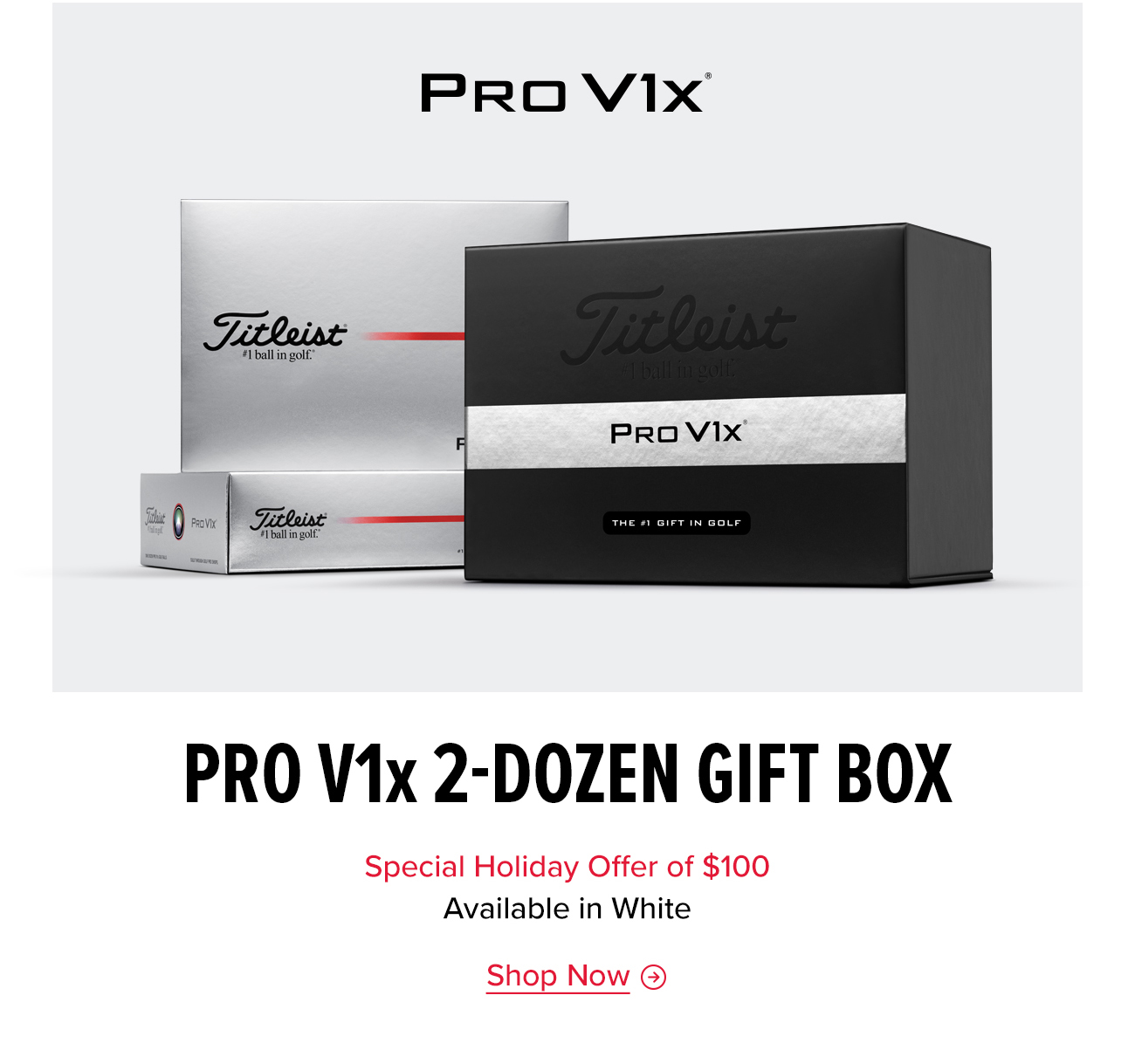 Shop Pro V1x 2-Dozen Pack