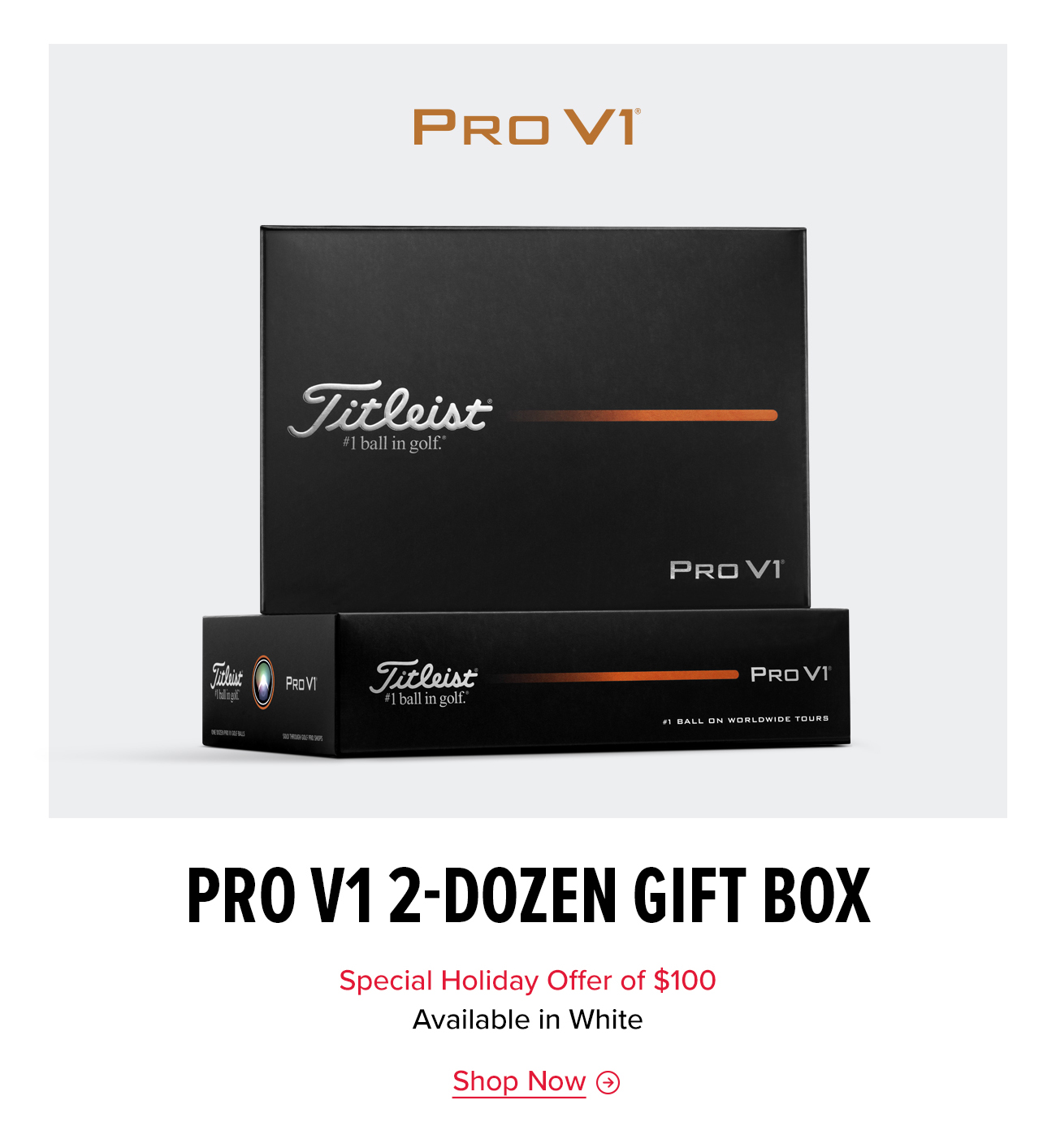 Shop Pro V1 2-Dozen Pack