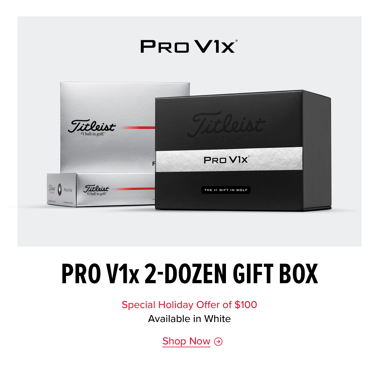 Shop Pro V1x 2-Dozen Pack