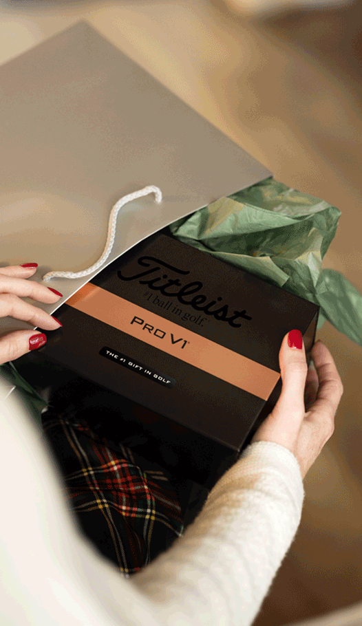Holiday 2-Dozen Gift Boxes
