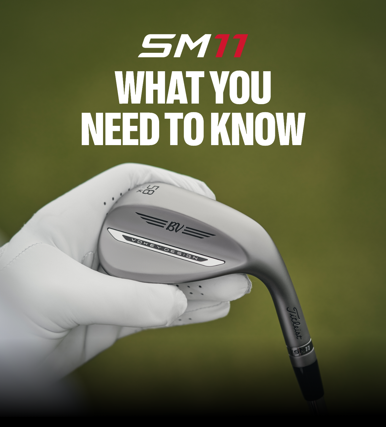 SM11 | What You Need to Know