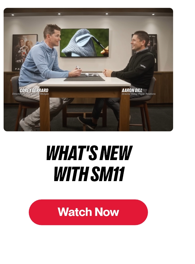 What's New with SM11