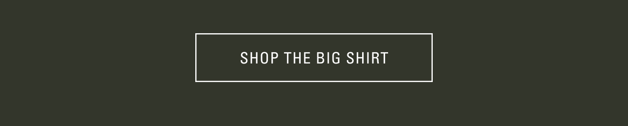 SHOP THE POPLIN BIG SHIRT