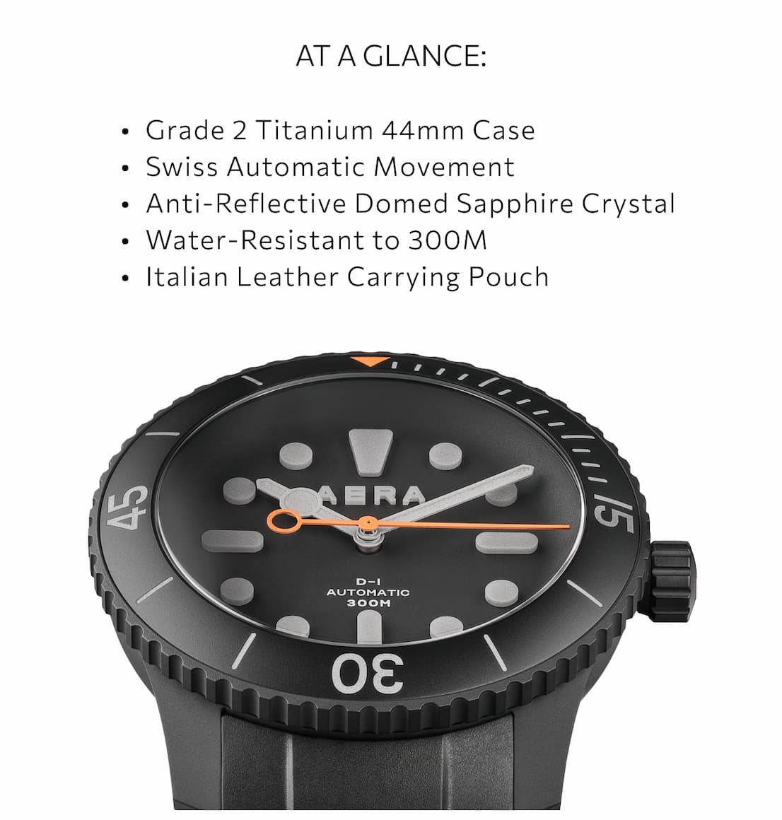 SHOP THE WATCH