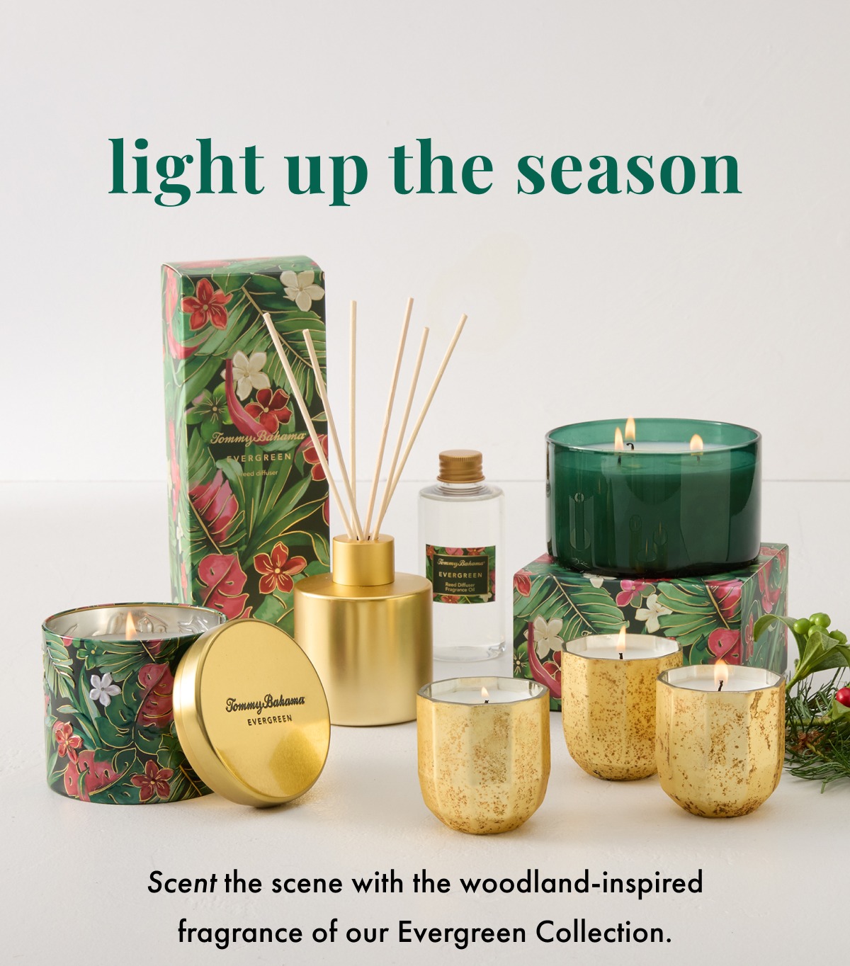Light up the season. Scent the scene with the woodland-inspired fragrance of our Evergreen Collection.