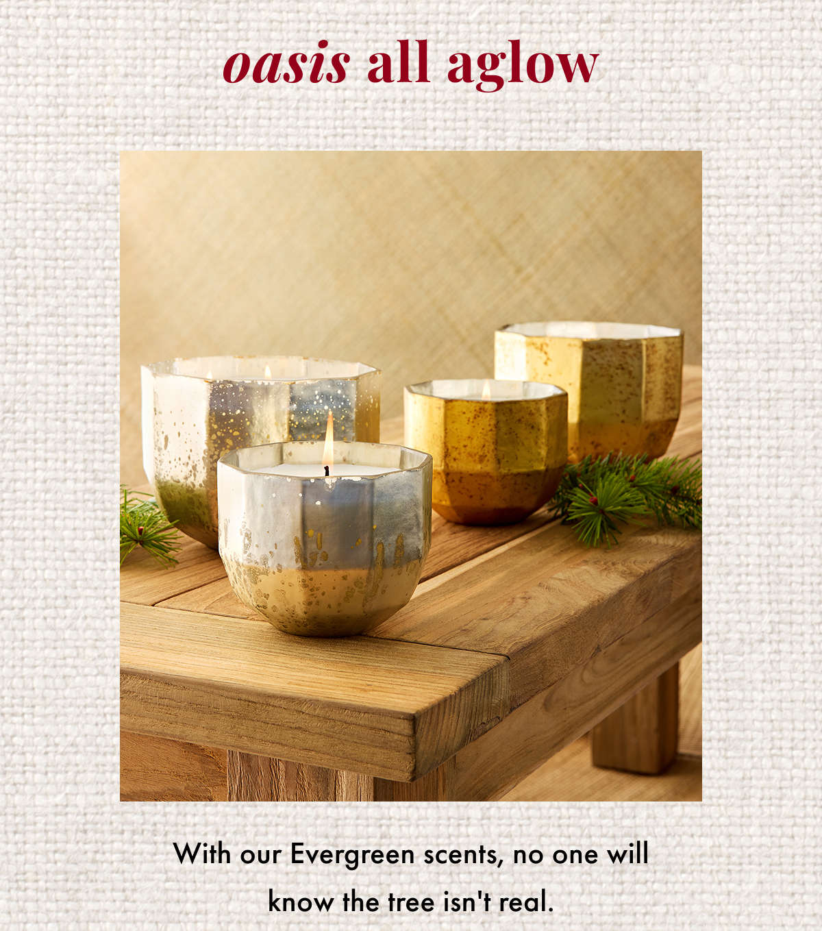 Oasis All Aglow. With our Evergreen scents, no one will know the tree isn't real.