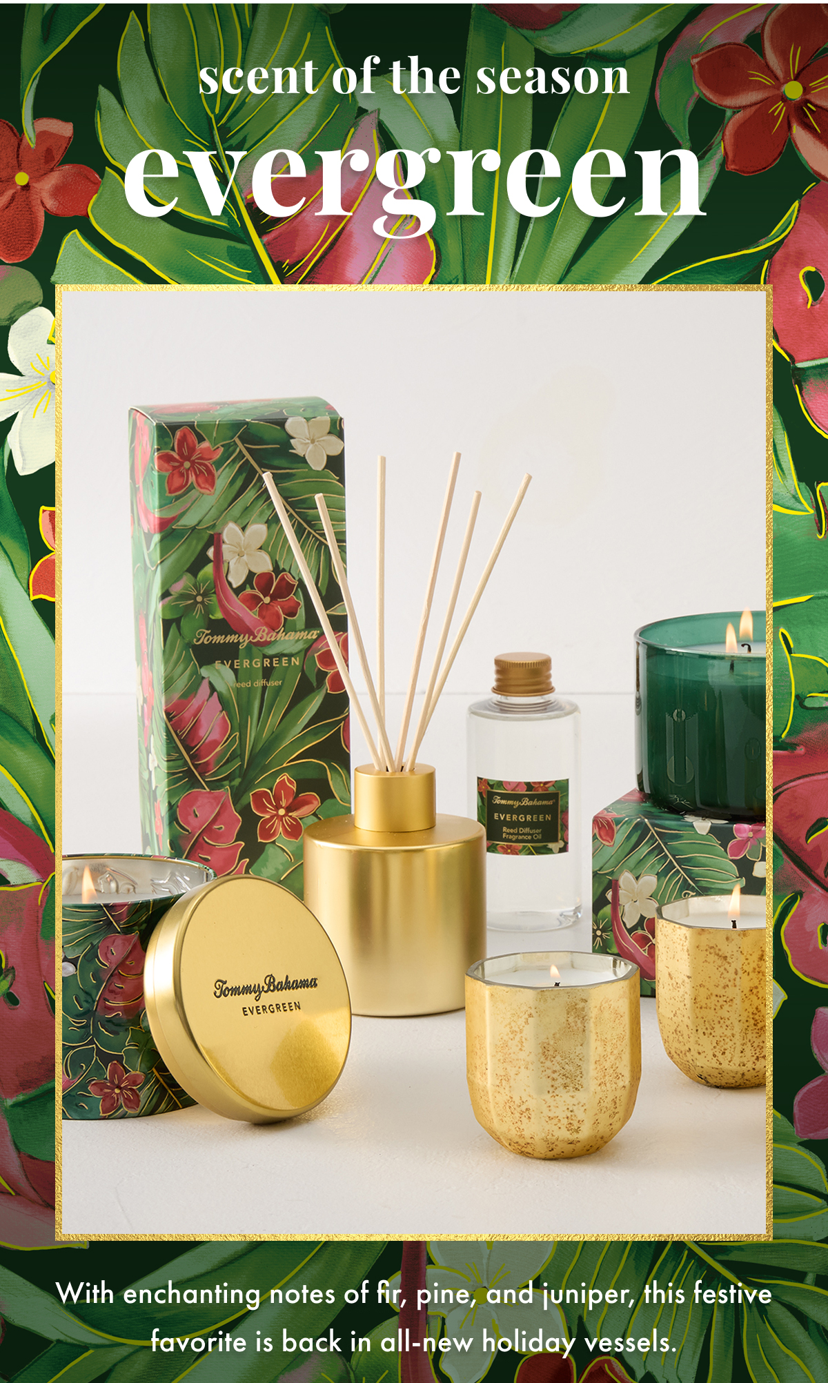 Scent of the Season: Evergreen. With enchanting notes of fir, pine, and juniper, this festive favorite is back in all-new holiday vessels.