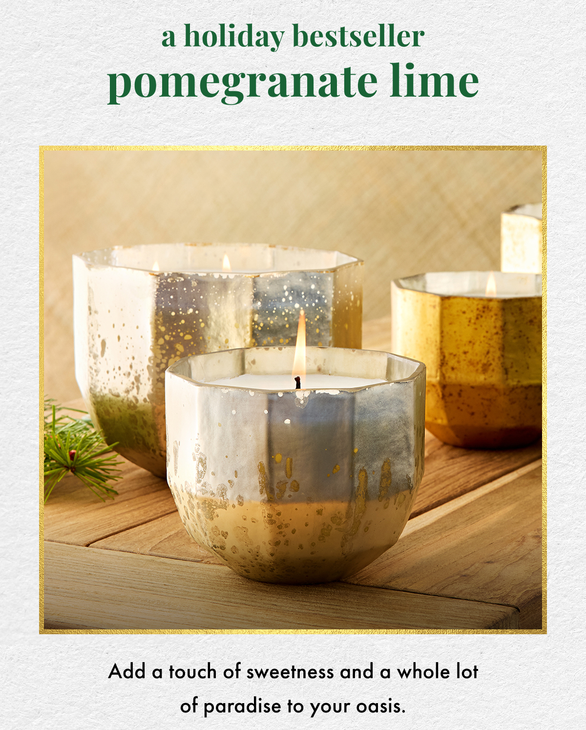A Holiday Bestseller: Pomegranate Lime. Add a touch of sweetness and a whole lot of paradise to your oasis.