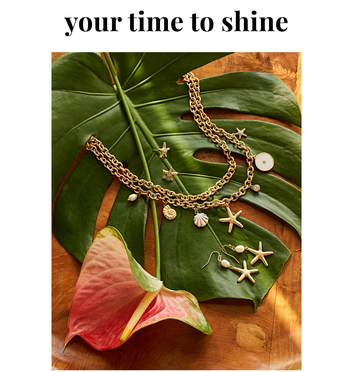 Your Time to Shine