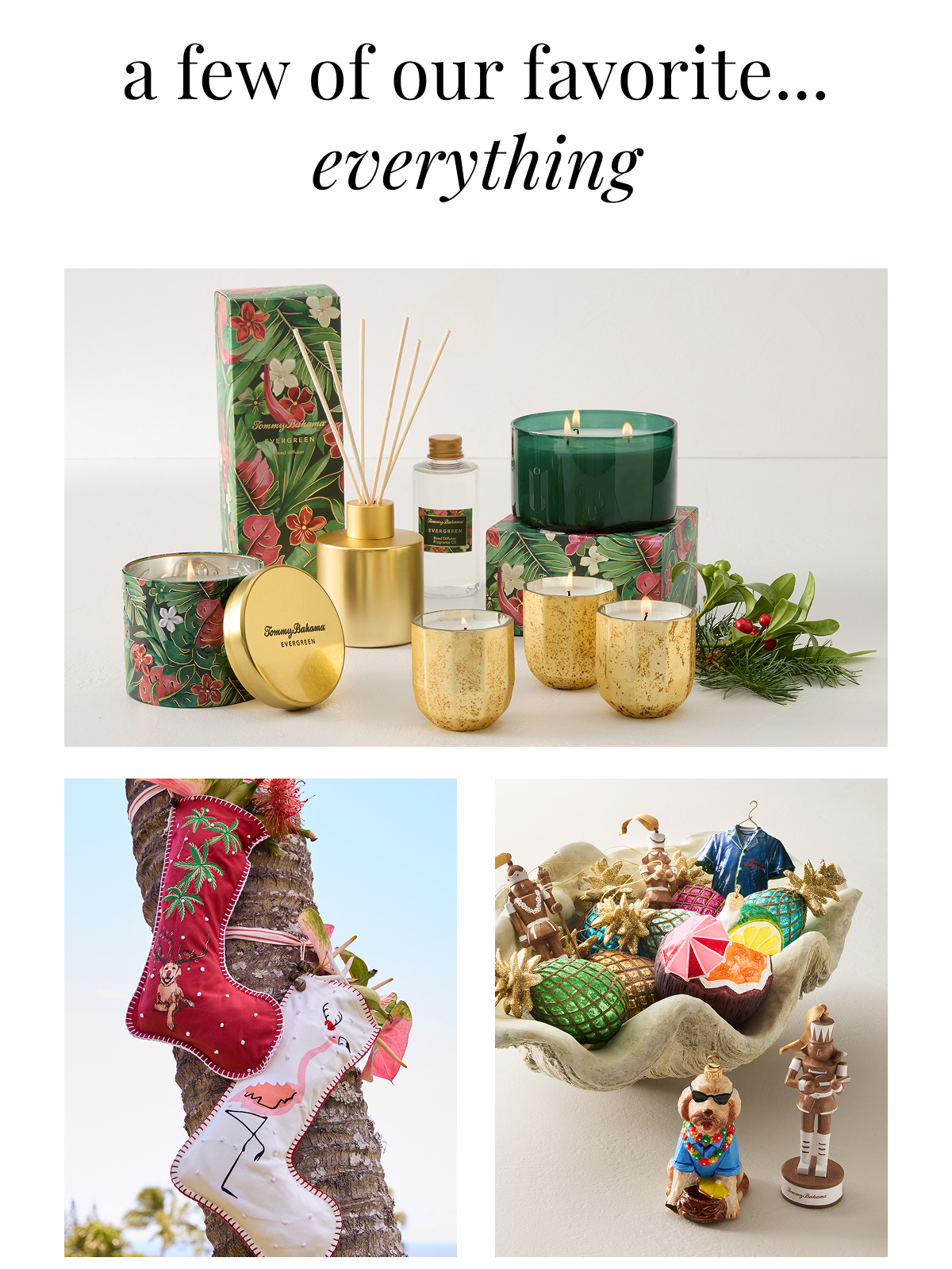 A Few of our Favorite Everything. 