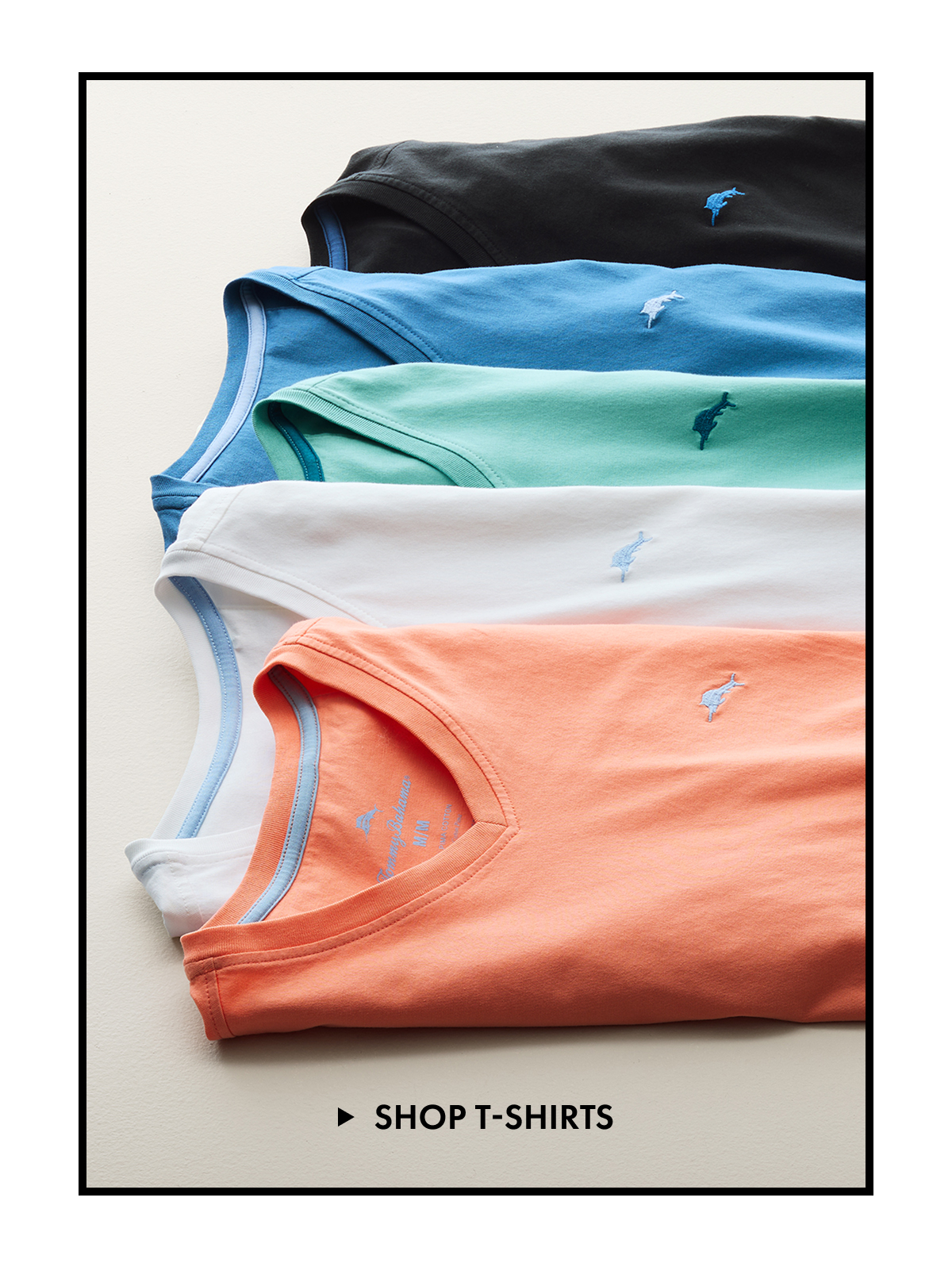Shop T Shirts