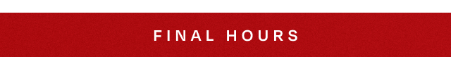Final Hours - Image