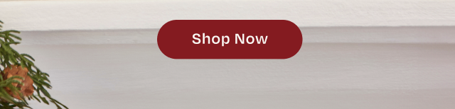 Shop Now - Button