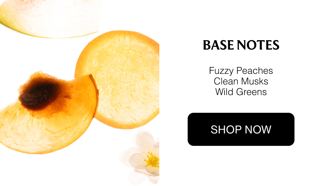 BASE NOTES - Fuzzy Peaches Clean Musks Wild Greens