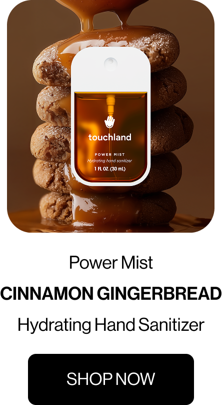 Power Mist Cinnamon Gingerbread Hydrating Hand Sanitizer Shop Now