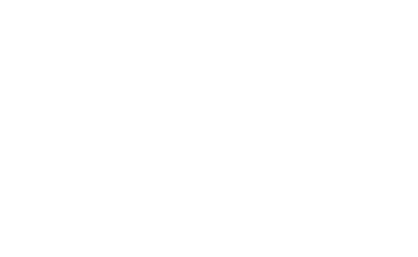 THE SWEET DETAILS JANUARY 10–31, 2026 @ POP UP GROCER 205 BLEECKER STREET New York City 8AM–8PM DAILY