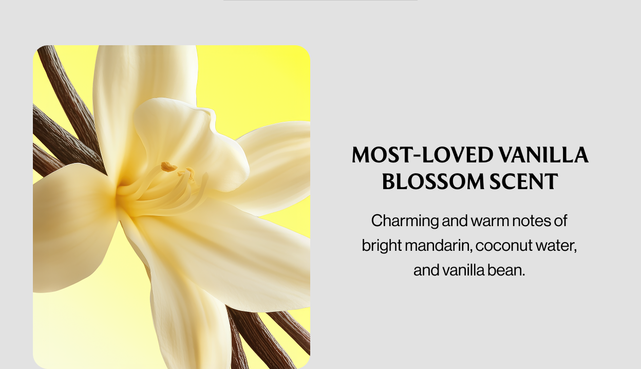 MOST-LOVED VANILLA BLOSSOM SCENT Charming and warm notes of bright mandarin, coconut water, and vanilla bean.