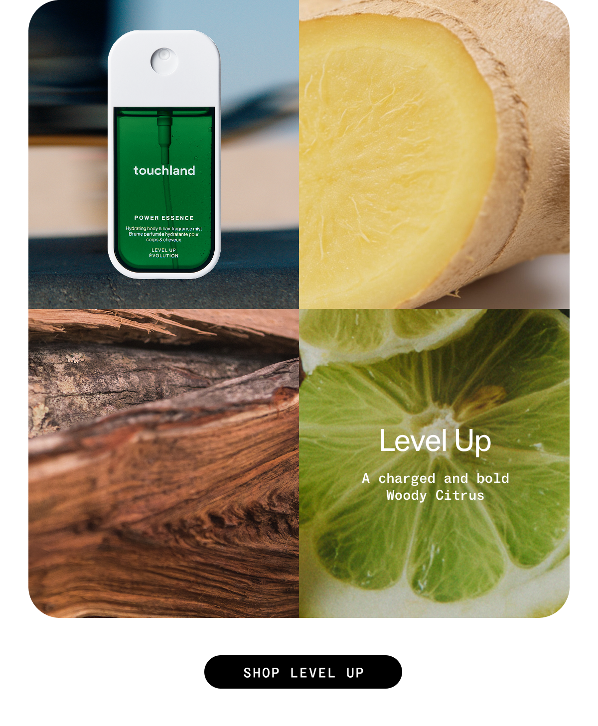 Level Up:A charged and bold Woody Cirtrus SHOP LEVEL UP