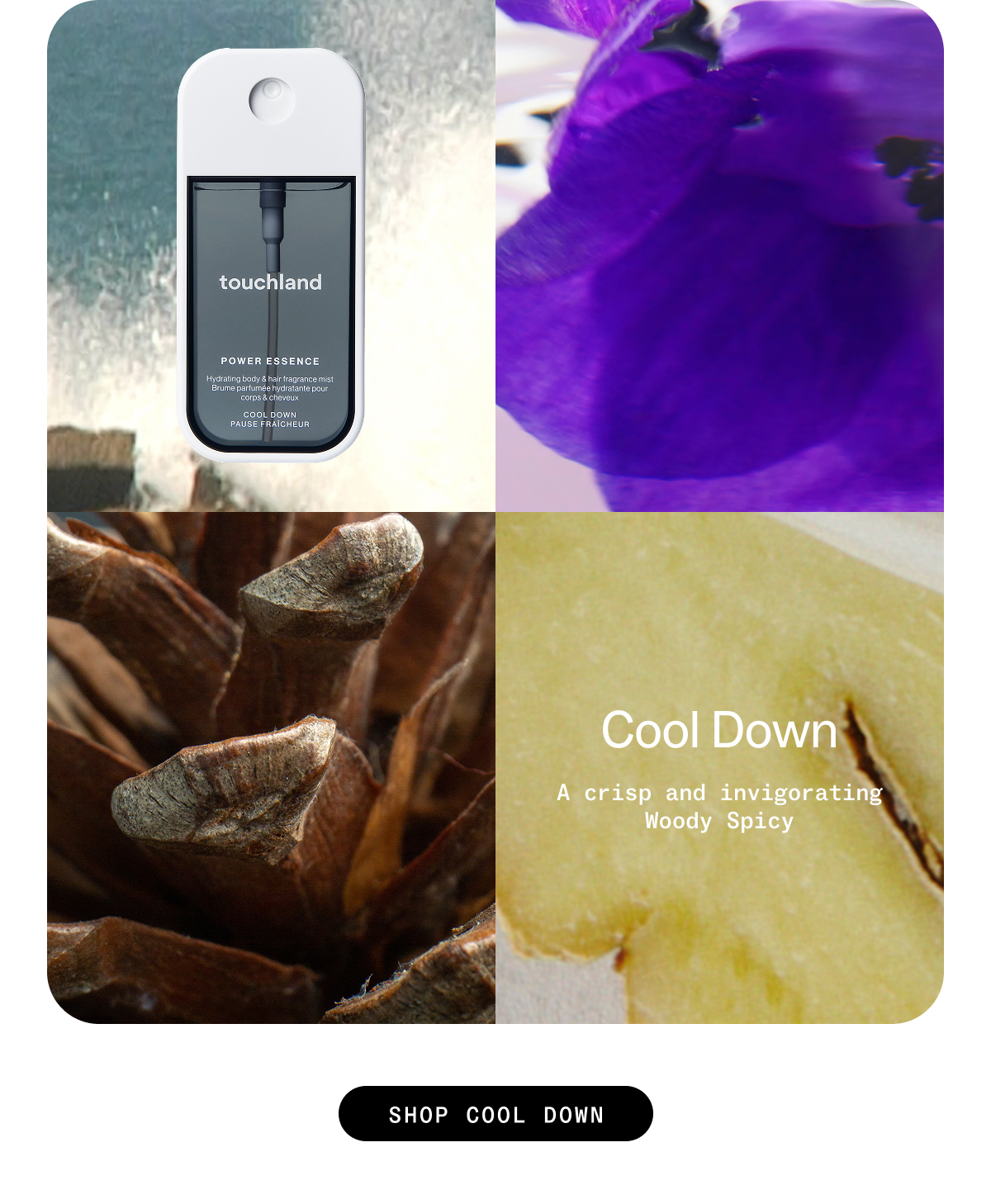 Cool Down: A&nbsp;crisp and invigorating Woody Spicy SHOP COOL DOWN