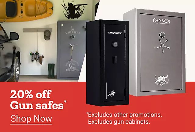  32025 FW12BigTicketFinancing GunSafes 