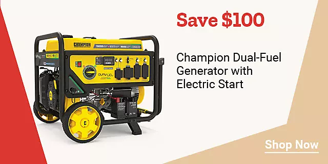  25Week13ChampionDualFuelGeneratorwithElectricStart 