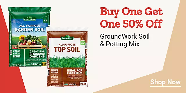  25Week16GroundWorkSoilPottingMix 