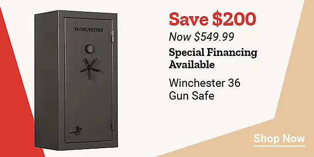  25Week18 Winchester36GunSafe 