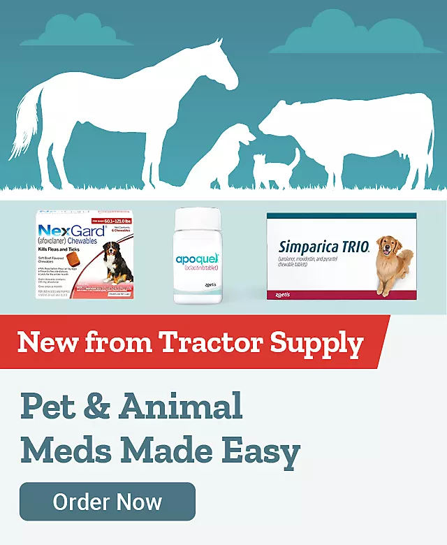  42425 IntroToRXAllivet PetAnimalMedsMadeEasyHero 