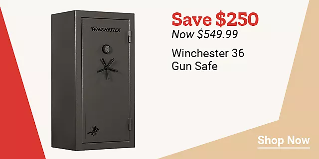  25Week20WinchesterGunSafe 