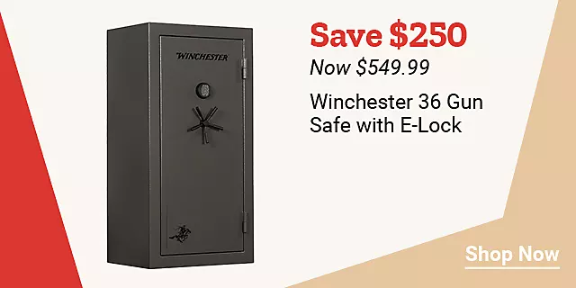  2025 Week28 Winchester36GunSafewELock 