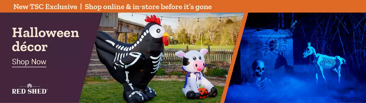  25Week31 WeeklyBanner NEWHalloween5 