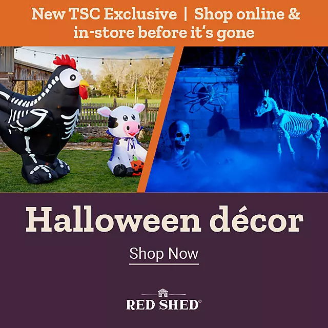  25Week31 WeeklyBanner NEWHalloween5 