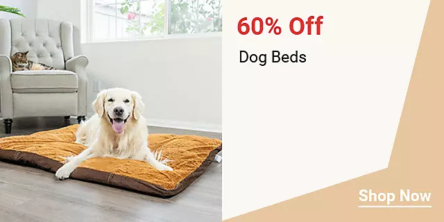  25Week39DogBeds 