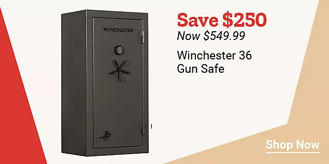 25Week39WinchesterGunSafe 
