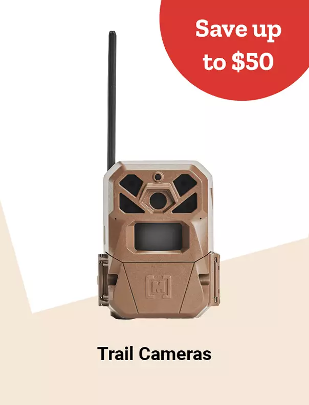  25Week40 TrailCameras 