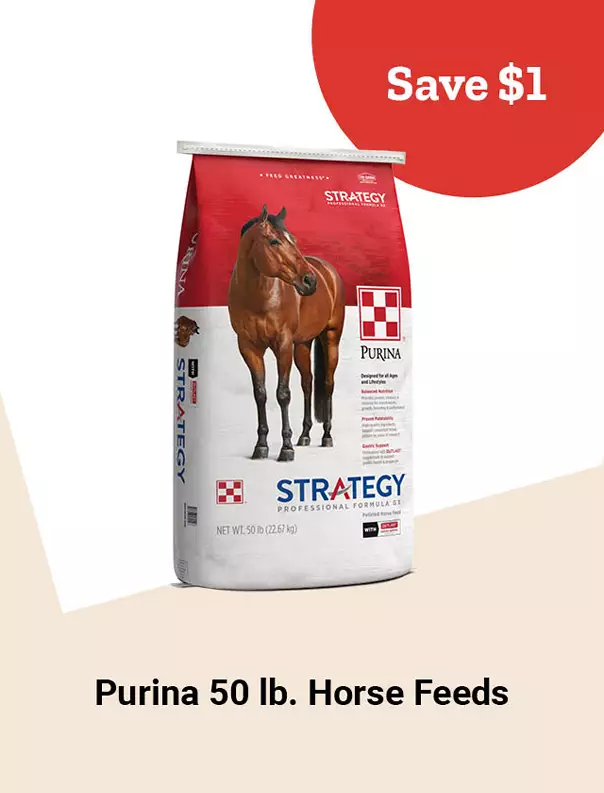  25Week40PurinaHorseFeeds 