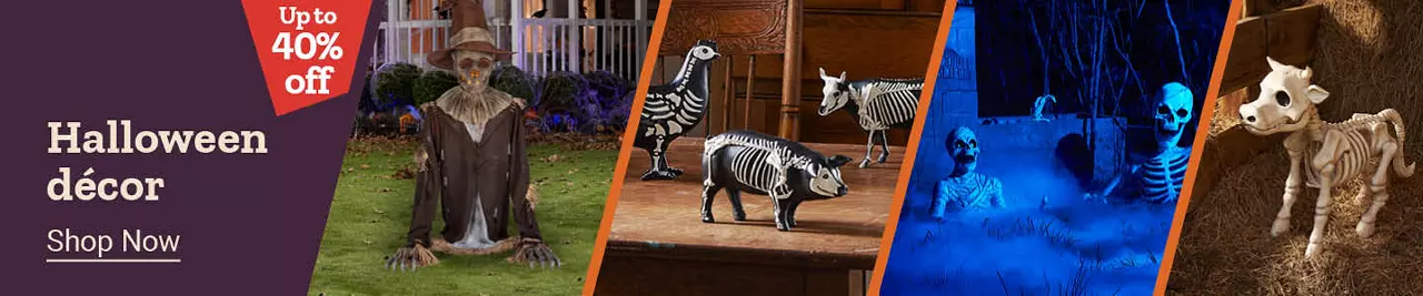  25Week40HalloweenDecor 