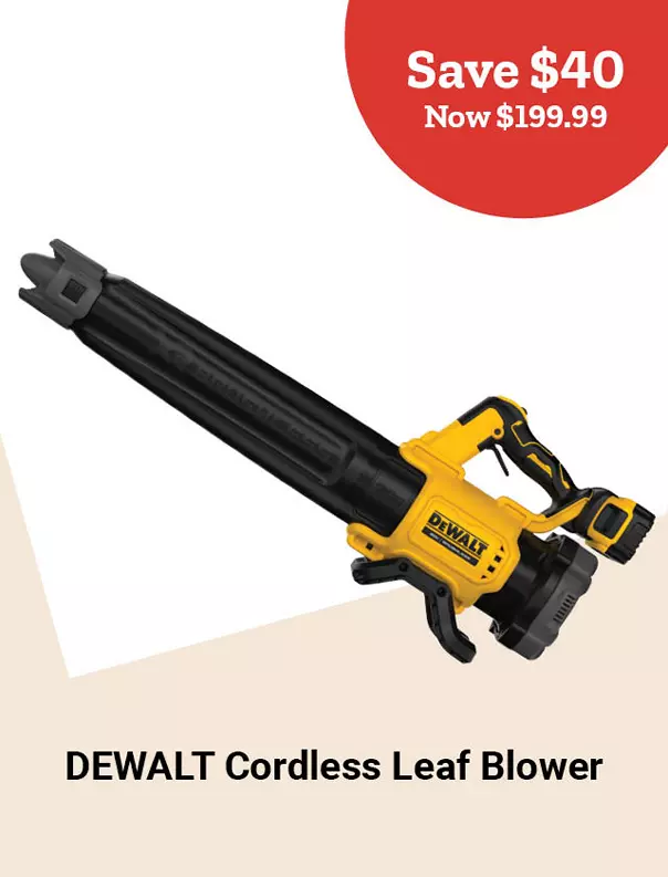  25Week45 DEWALTCordlessLeafBlower 