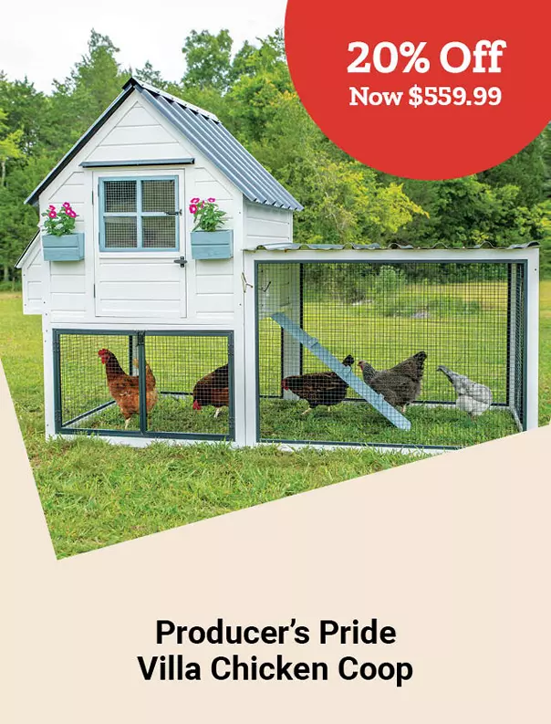  25Week45 ProducersPrideVillaChickenCoop 
