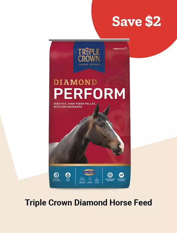  17TripleCrownDiamondHorseFeed 