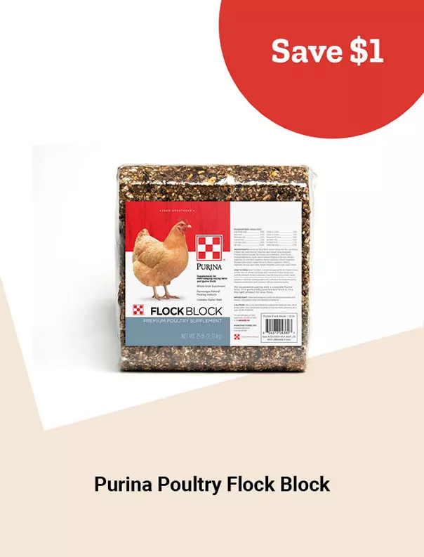  16PurinaPoultryFlockBlock 