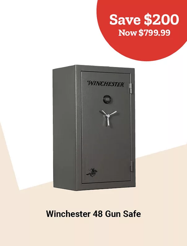  06Winchester26GunSafe 