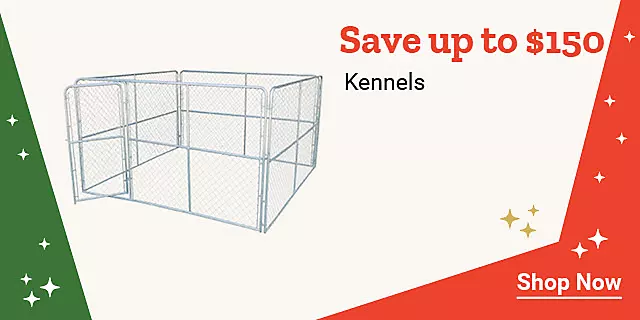  25Week48 Kennels 