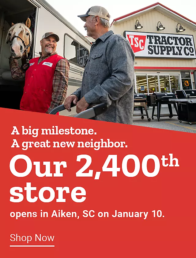  26WEEK2 2400NEWSTOREGO WEEKLYBANNER 