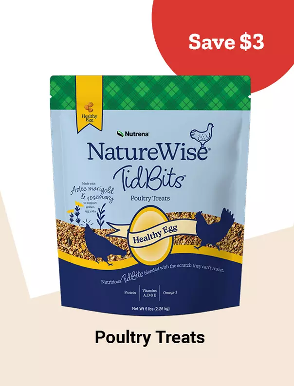 26Week2PoultryTreats 