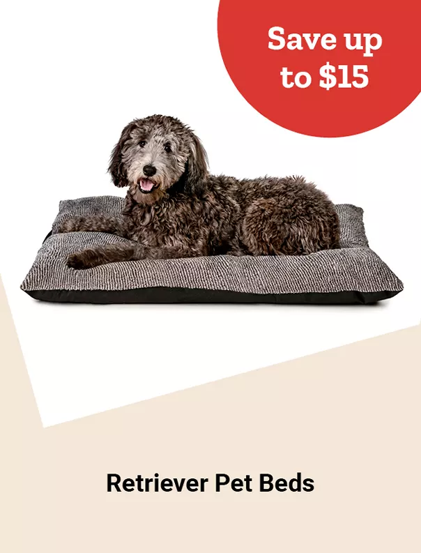  26Week2RetrieverPetBeds 