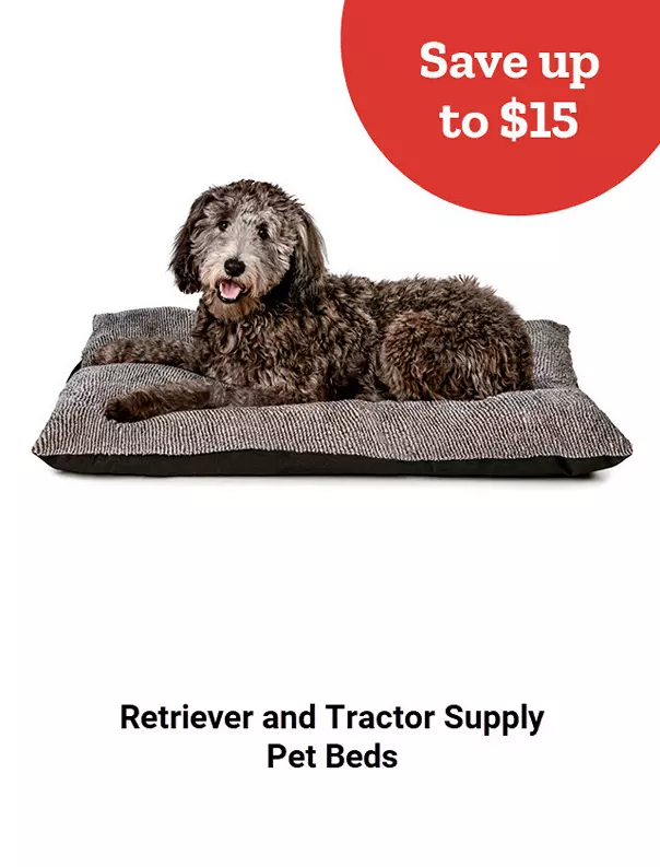  26Week3RetrieverPetBeds 