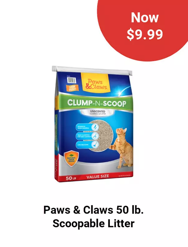  26Week3PawsandClaws 