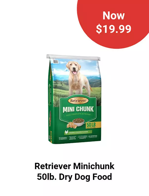  26Week3RetrieverMiniChunk 